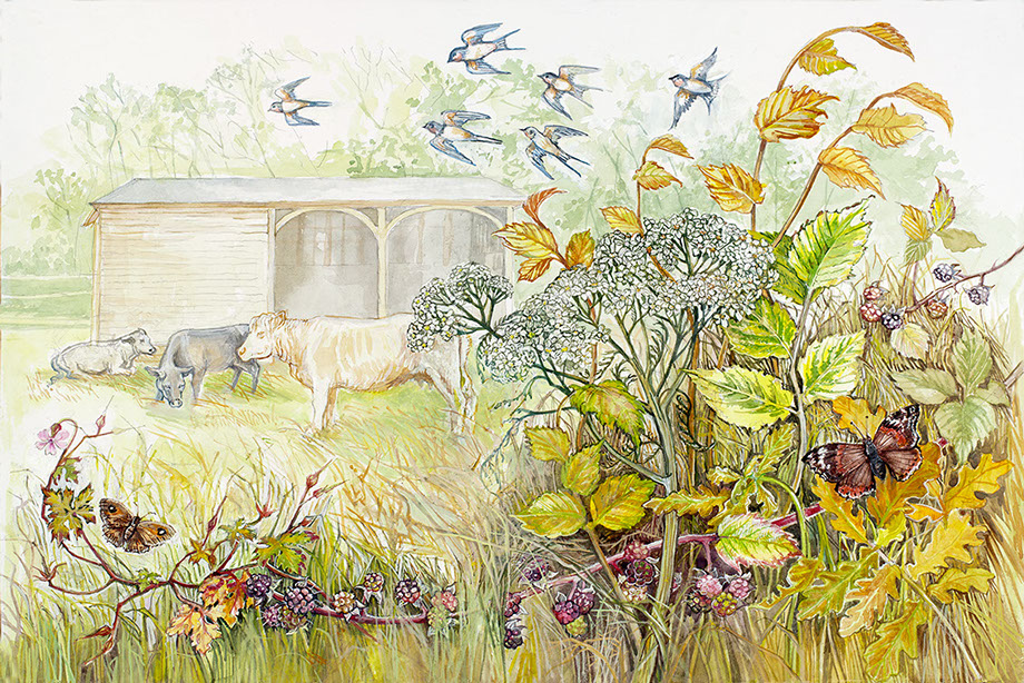 Suszie Vignoles artist Illustrator, Richmond